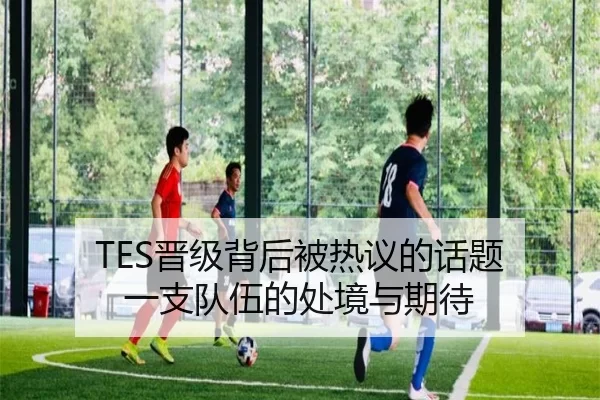 TES晋级背后被热议的话题 一支队伍的处境与期待
